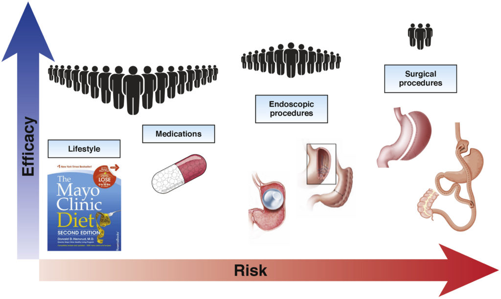 Obesity Treatments